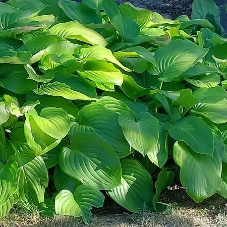 Hébergement de vacances Nadaskuti Haz
