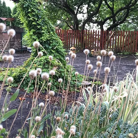 Nadaskuti Haz * تشوباك