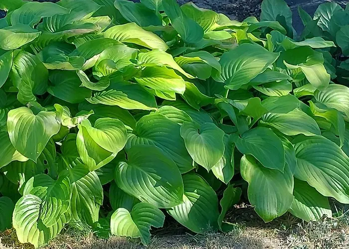 Hébergement de vacances Nadaskuti Haz