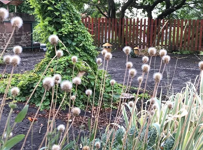 Nadaskuti Haz * Csopak